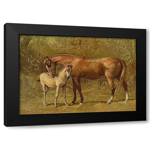 Thoroughbred Mare and Foal, 1900 Black Modern Wood Framed Art Print with Double Matting by Sidney, Samuel