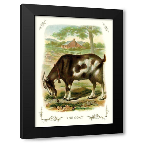 The Goat, 1900 Black Modern Wood Framed Art Print by Unknown