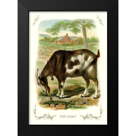 The Goat, 1900 Black Modern Wood Framed Art Print by Unknown