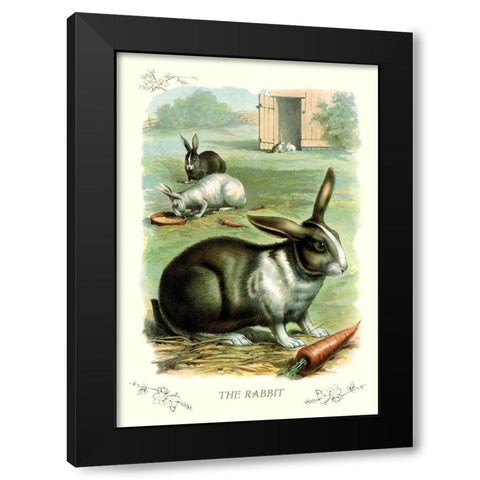 The Rabbit, 1900 Black Modern Wood Framed Art Print by Unknown