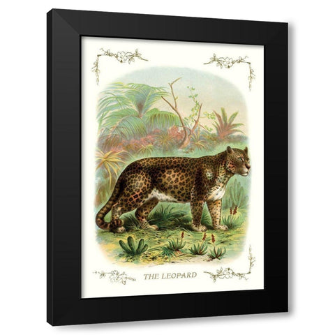 The Leopard, 1900 Black Modern Wood Framed Art Print by Unknown