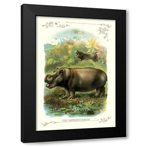 The Hippopotamus, 1900 Black Modern Wood Framed Art Print with Double Matting by Unknown