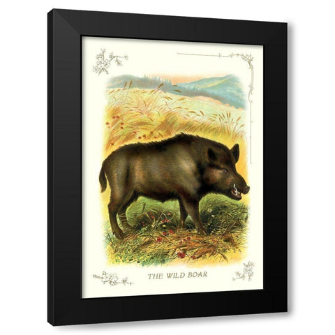 The Wild Boar, 1900 Black Modern Wood Framed Art Print with Double Matting by Unknown