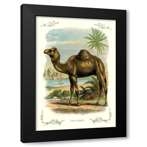 The Camel, 1900 Black Modern Wood Framed Art Print by Unknown