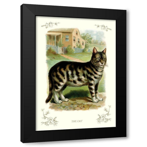 The Cat, 1900 Black Modern Wood Framed Art Print by Unknown