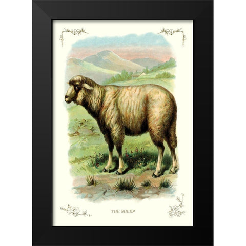 The Sheep, 1900 Black Modern Wood Framed Art Print by Unknown