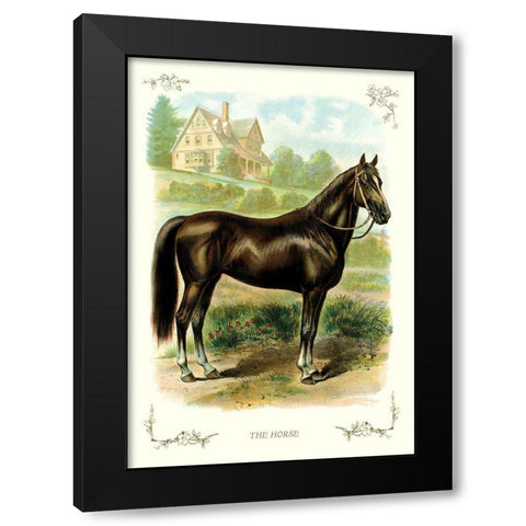 The Horse, 1900 Black Modern Wood Framed Art Print with Double Matting by Unknown