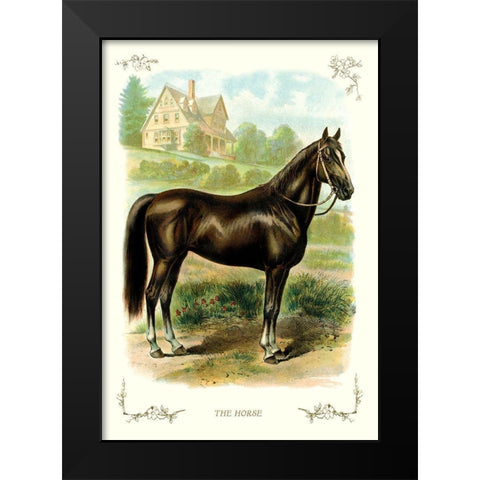 The Horse, 1900 Black Modern Wood Framed Art Print by Unknown