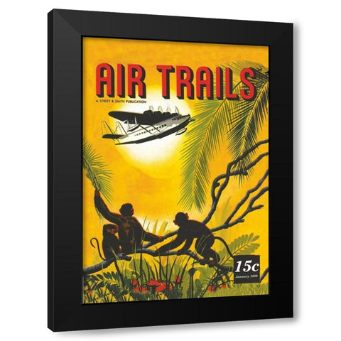 Seaplane Over the Tropics Black Modern Wood Framed Art Print with Double Matting by Unknown