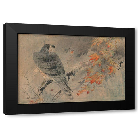 Eagle on a maple branch Black Modern Wood Framed Art Print with Double Matting by Unknown