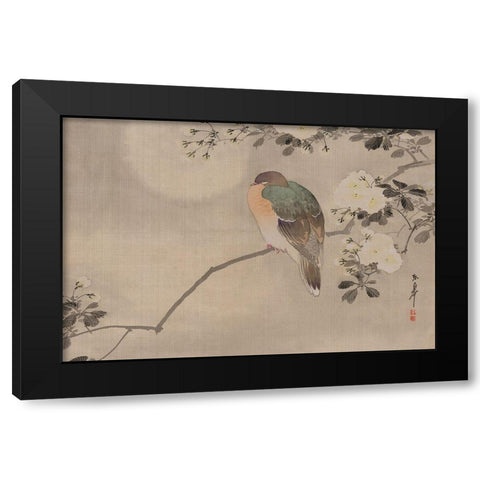 Robin sitting on a Tree Branch Black Modern Wood Framed Art Print by Unknown