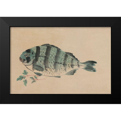 Striped Bass Black Modern Wood Framed Art Print by Unknown