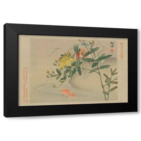 Kingfisher and Goldfish in Pond Black Modern Wood Framed Art Print with Double Matting by Unknown