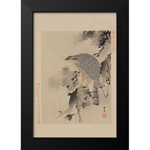Hawk Black Modern Wood Framed Art Print by Unknown