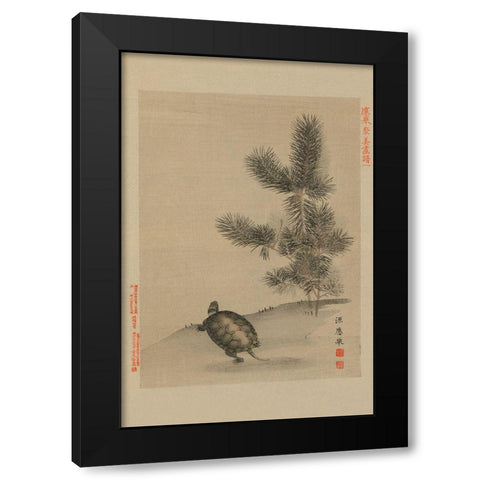 Turtle Black Modern Wood Framed Art Print with Double Matting by Unknown