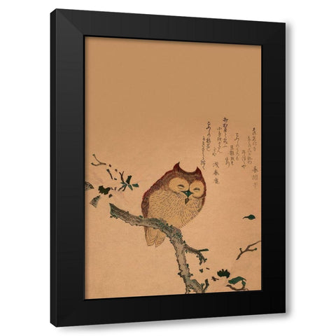 Owl of Branch Black Modern Wood Framed Art Print by Unknown