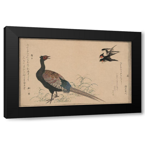 Pheasant Black Modern Wood Framed Art Print with Double Matting by Unknown