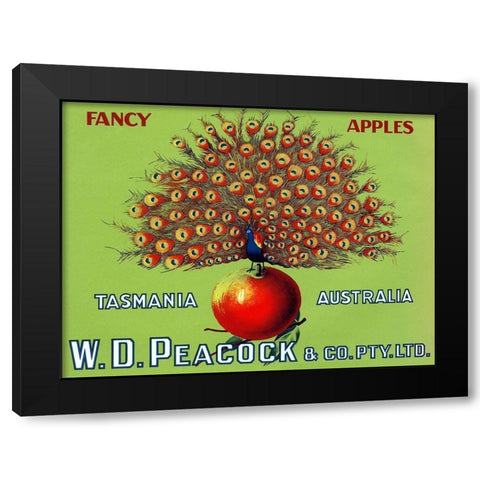 W.D. Peacock Fancy Apples Black Modern Wood Framed Art Print with Double Matting by Retrolabel