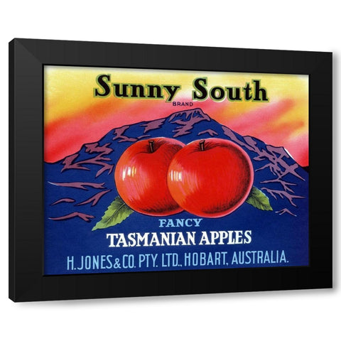 Sunny South Tasmanian Apples Black Modern Wood Framed Art Print with Double Matting by Retrolabel