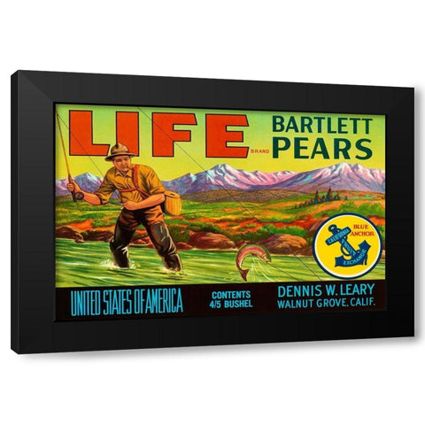 Life Brand Bartlett Pears Black Modern Wood Framed Art Print with Double Matting by Retrolabel