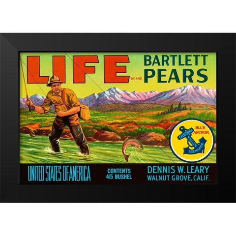 Life Brand Bartlett Pears Black Modern Wood Framed Art Print by Retrolabel