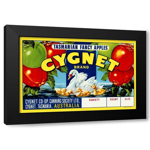Cygnet Tasmanian Fancy Apples Black Modern Wood Framed Art Print by Retrolabel