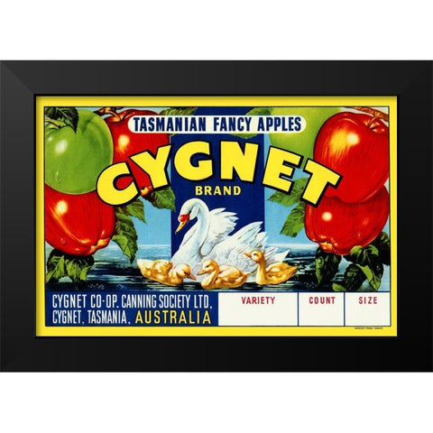 Cygnet Tasmanian Fancy Apples Black Modern Wood Framed Art Print by Retrolabel