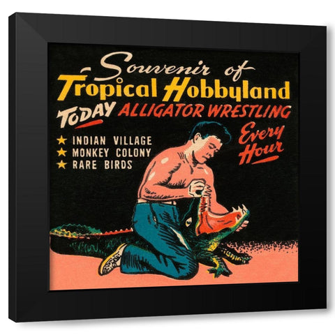 Tropical Hobbyland - Alligator Wrestling Black Modern Wood Framed Art Print by Retrotravel