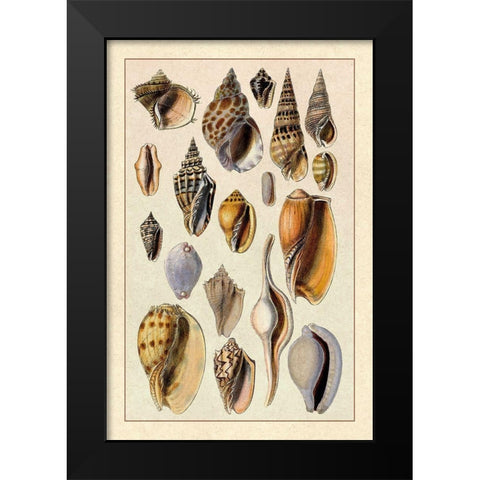 Shells: Trachelipoda #6 Black Modern Wood Framed Art Print by Sowerby, G.B.