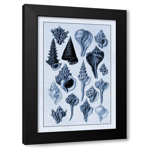 Shells: Trachelipoda #4 (Blue) Black Modern Wood Framed Art Print by Sowerby, G.B.