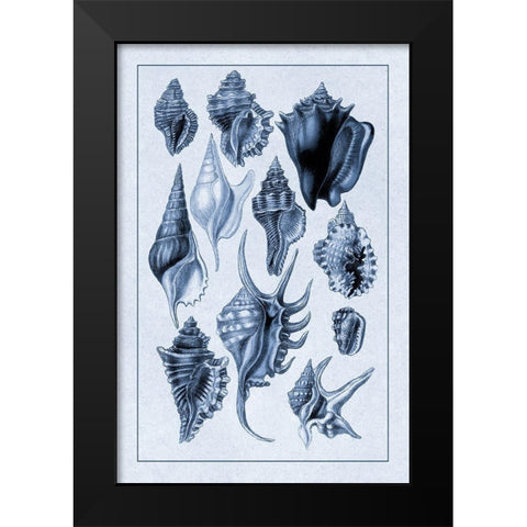 Shells: Trachelipoda #5 (Blue) Black Modern Wood Framed Art Print by Sowerby, G.B.