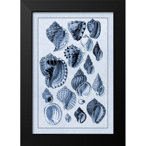 Shells: Purpurifera (Blue) Black Modern Wood Framed Art Print by Sowerby, G.B.