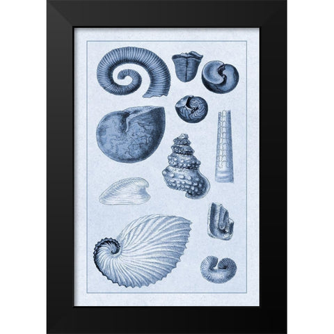 Shells: Ammonacea (Blue) Black Modern Wood Framed Art Print by Sowerby, G.B.