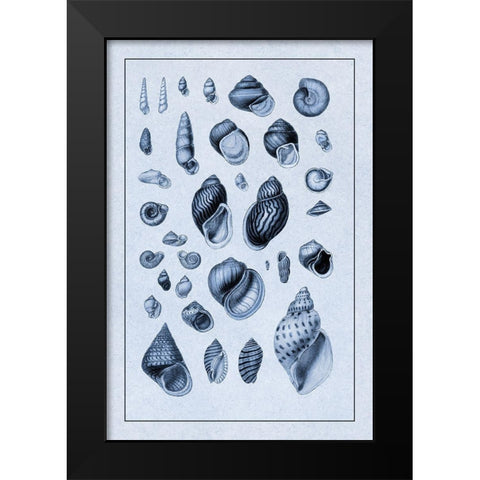 Shells: Sessile Cirripedes #2 (Blue) Black Modern Wood Framed Art Print by Sowerby, G.B.