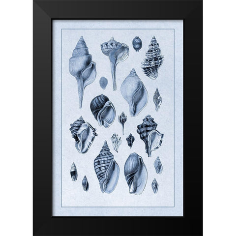 Shells: Sessile Cirripedes #3 (Blue) Black Modern Wood Framed Art Print by Sowerby, G.B.