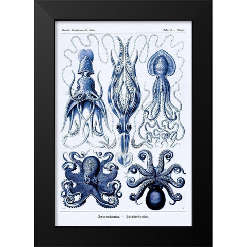 Haeckel Nature Illustrations: Jelly Fish - Dark Blue Tint Black Modern Wood Framed Art Print by Haeckel, Ernst