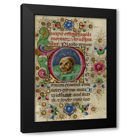 Initial D: A Skull in a Rocky Field Black Modern Wood Framed Art Print with Double Matting by Crivetti, Taddeo