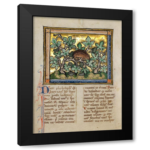 A Hedgehog Black Modern Wood Framed Art Print by Franco-Flemish 13th Century