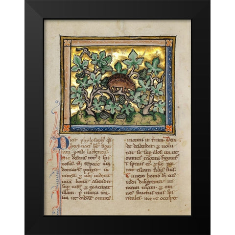 A Hedgehog Black Modern Wood Framed Art Print by Franco-Flemish 13th Century