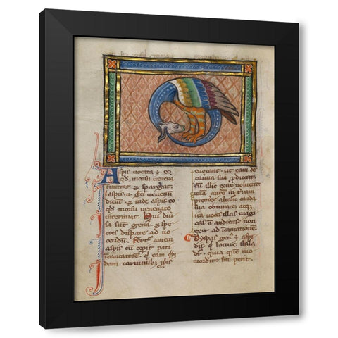 A Dragon-like Snake Black Modern Wood Framed Art Print by Franco-Flemish 13th Century
