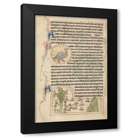 A Duck; Bees Black Modern Wood Framed Art Print with Double Matting by English 13th Century