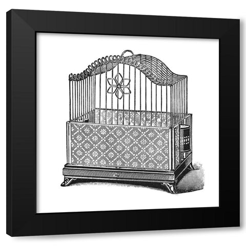 Etchings: Birdcage - Flower detail. Black Modern Wood Framed Art Print by Catalog Illustration