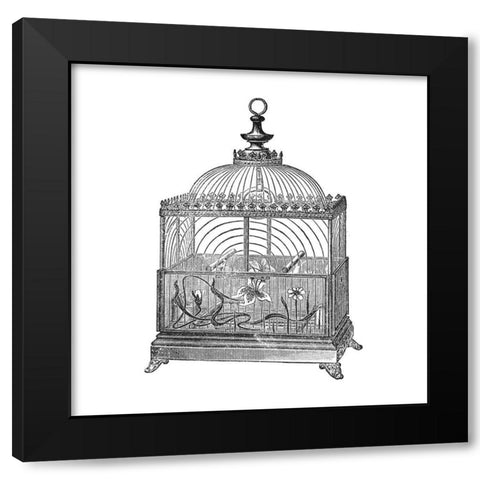 Etchings: Birdcage - Dome top, floral base, filigree detail. Black Modern Wood Framed Art Print with Double Matting by Catalog Illustration