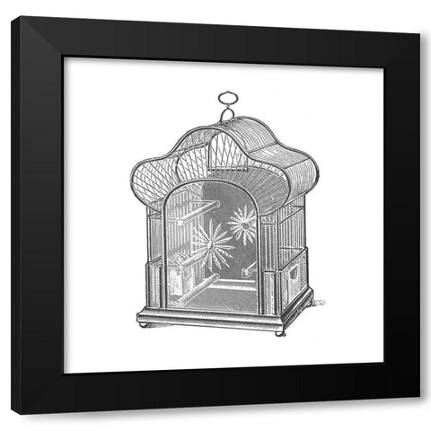 Etchings: Birdcage - Palmate top, daisy detail. Black Modern Wood Framed Art Print with Double Matting by Catalog Illustration