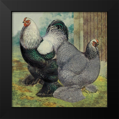 Chickens: Dark Brahmas Black Modern Wood Framed Art Print by Wright, Lewis