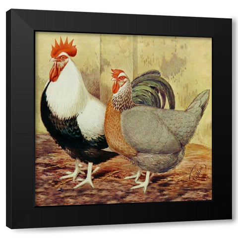 Chickens: Silver-Grey Dorkings Black Modern Wood Framed Art Print by Wright, Lewis