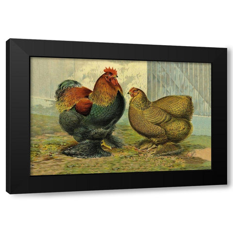 Chickens: Partridge Cochins Black Modern Wood Framed Art Print with Double Matting by Wright, Lewis