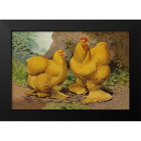 Chickens: Buff Cochins Black Modern Wood Framed Art Print by Wright, Lewis