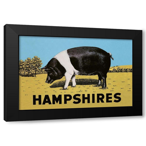 Pigs and Pork: Hampshires Black Modern Wood Framed Art Print with Double Matting by Advertisement