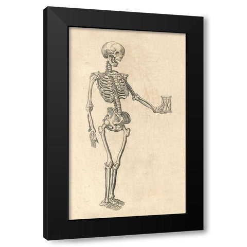 Human Skeleton with Hourglass Black Modern Wood Framed Art Print by Bauhin, Caspar